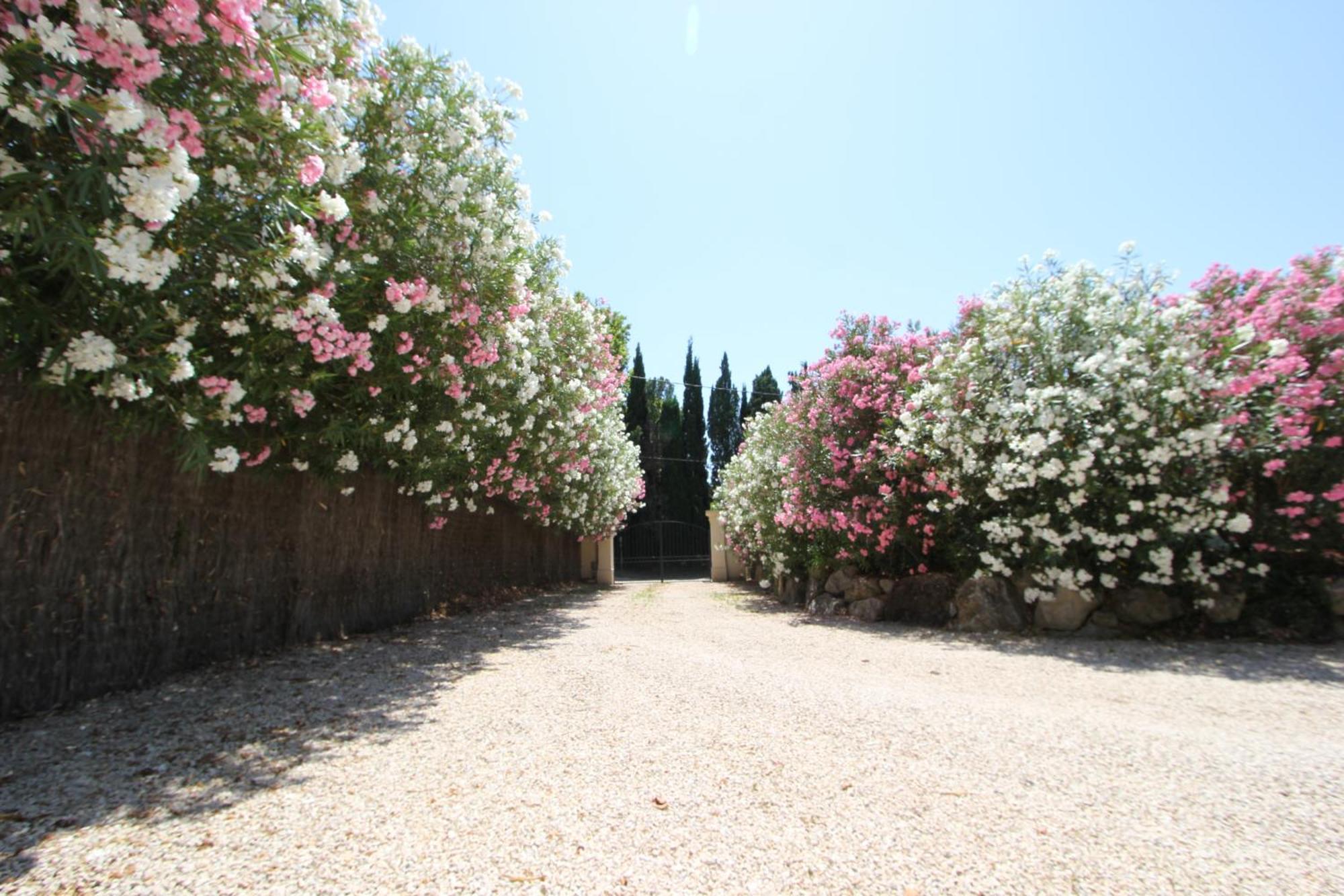 Mas Paloma Bed and Breakfast Rognonas Εξωτερικό φωτογραφία