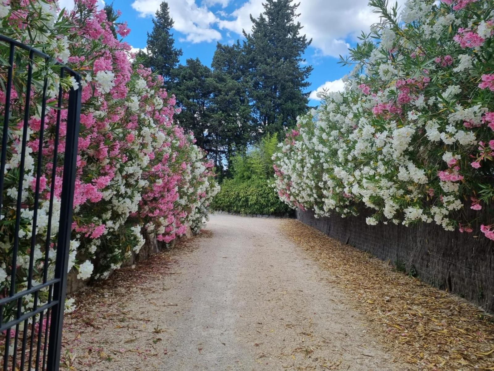 Mas Paloma Bed and Breakfast Rognonas Εξωτερικό φωτογραφία